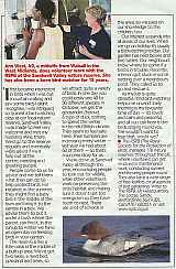 How the article originally appeared